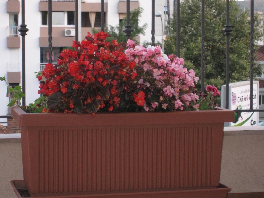 Apartments City Center Tivat Zewnętrze zdjęcie